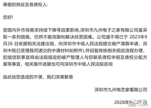 專精特新光環(huán)下的陰影 一家廣告技術(shù)企業(yè)的突然破產(chǎn)啟示